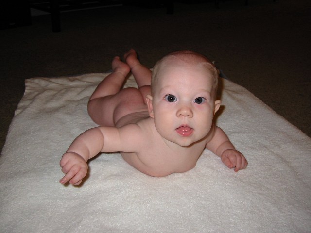 2/6/05