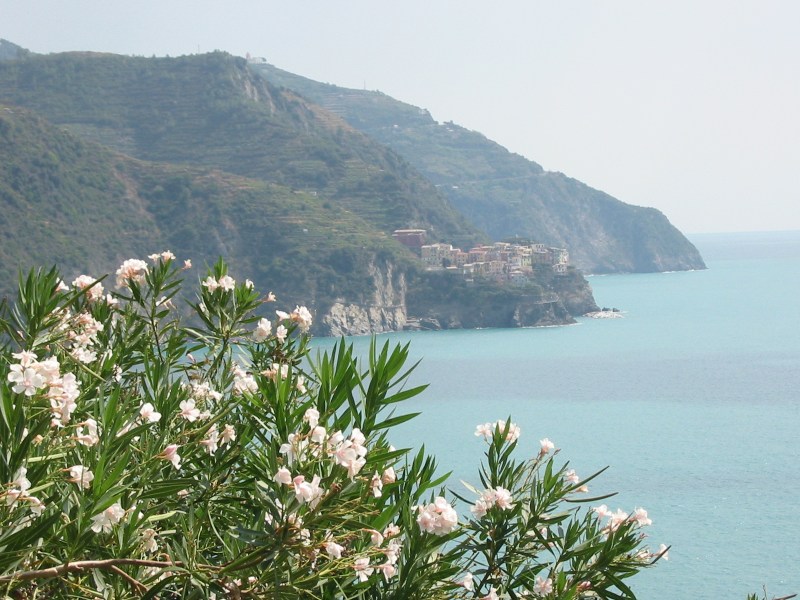 View of Manarola from Corniglia