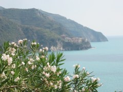 View of Manarola from Corniglia