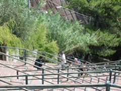 Steps from Corniglia to train station